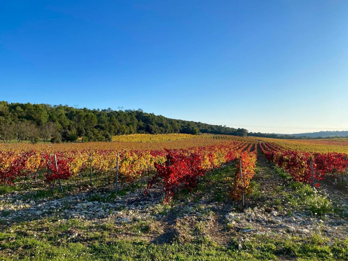 Mondragon Domaine Du Commandeur Bed & Breakfast エクステリア 写真