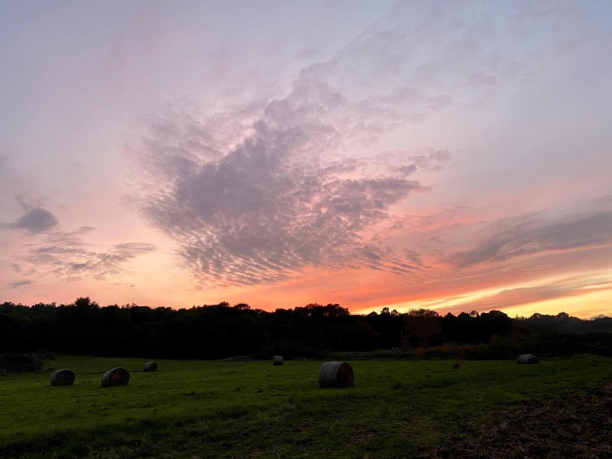 Mondragon Domaine Du Commandeur Bed & Breakfast エクステリア 写真