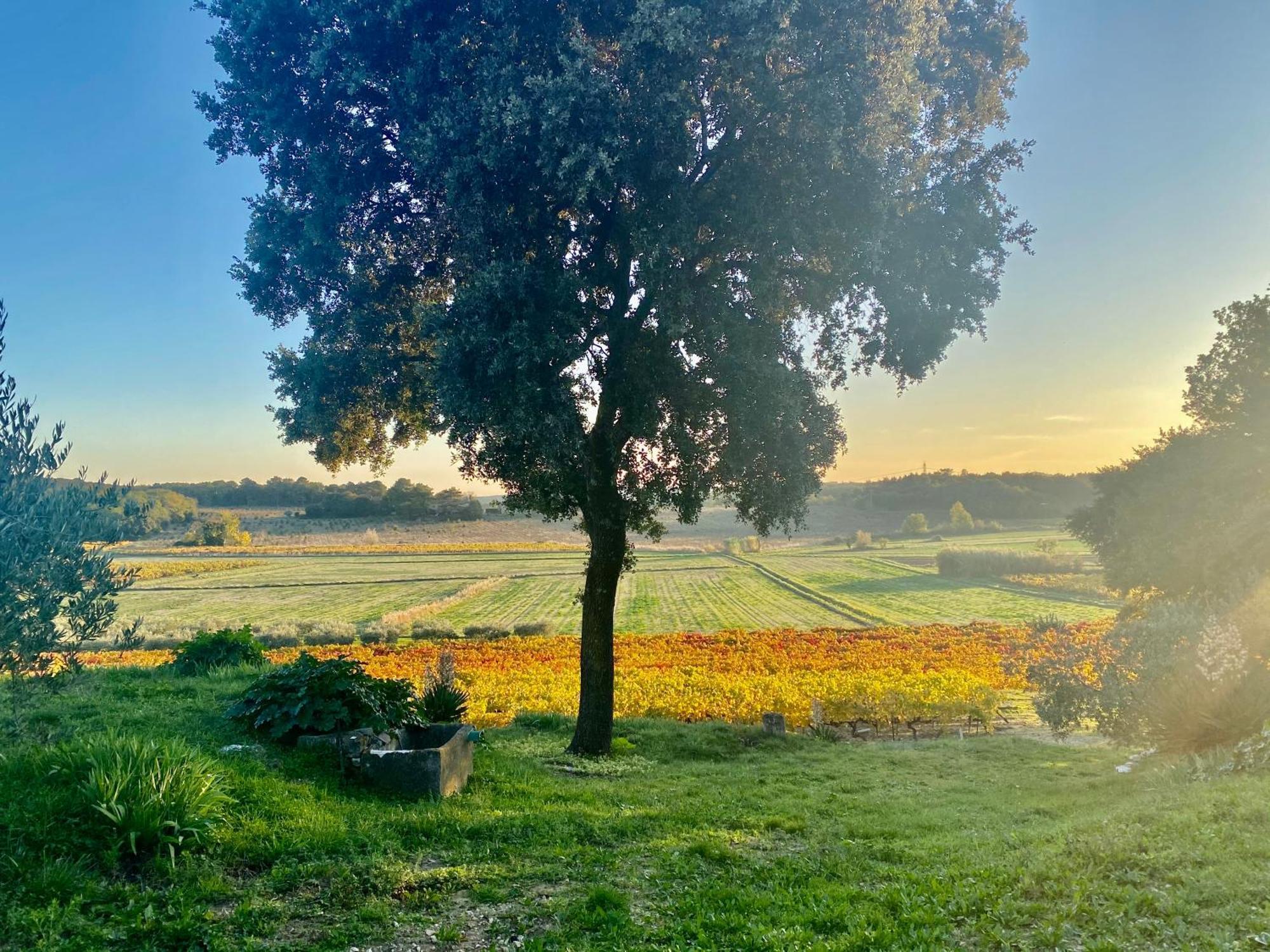 Mondragon Domaine Du Commandeur Bed & Breakfast エクステリア 写真