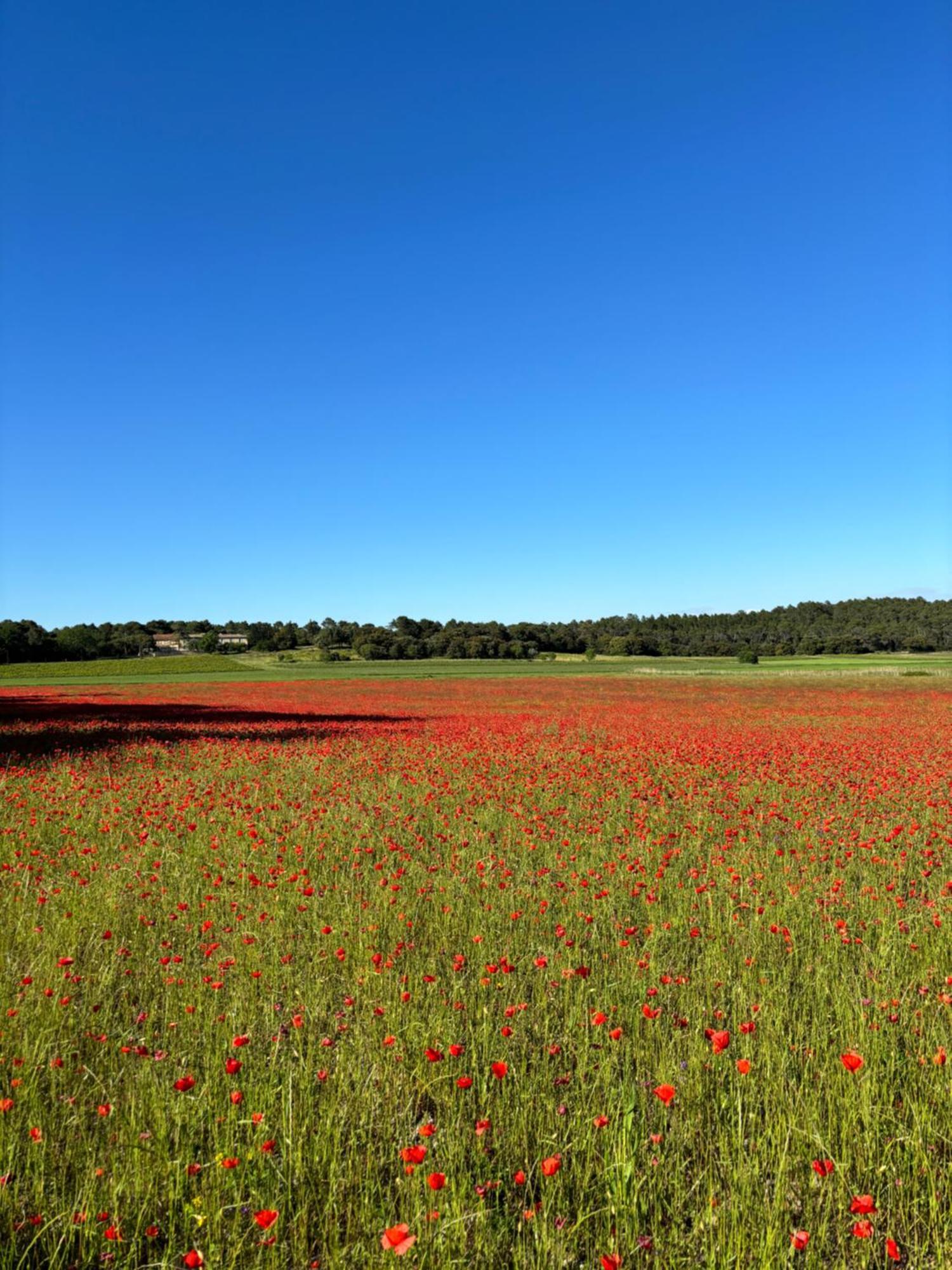 Mondragon Domaine Du Commandeur Bed & Breakfast エクステリア 写真